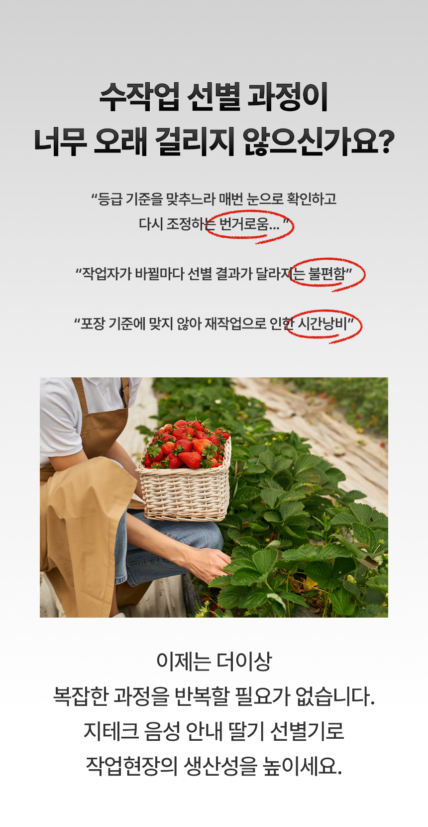 음성 안내 딸기 선별기 상세 이미지 3