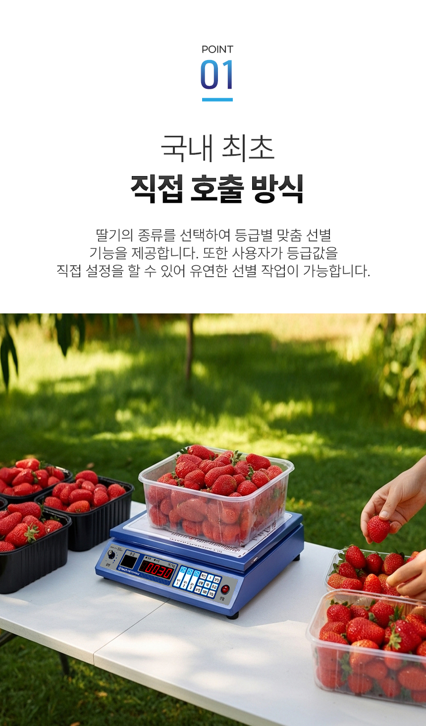 음성 안내 딸기 선별기 상세 이미지 5