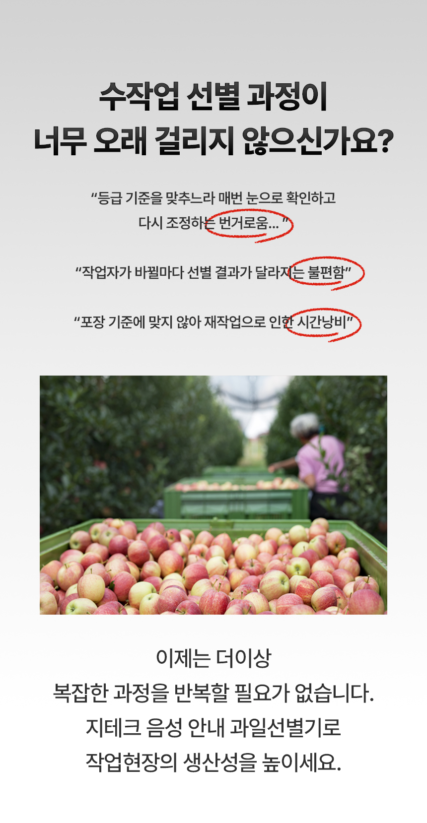음성 안내 과일 선별기 상세 이미지 3