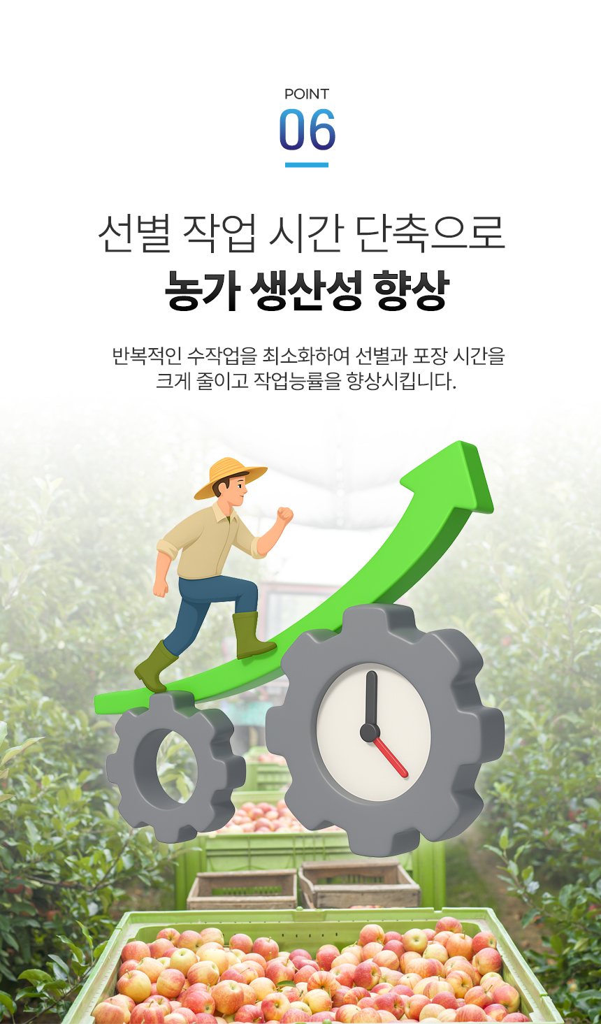 음성 안내 과일 선별기 상세 이미지 10