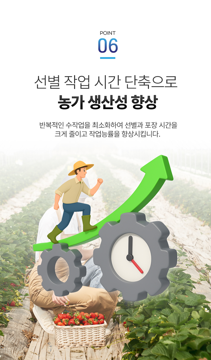 음성 안내 딸기 선별기 상세 이미지 10