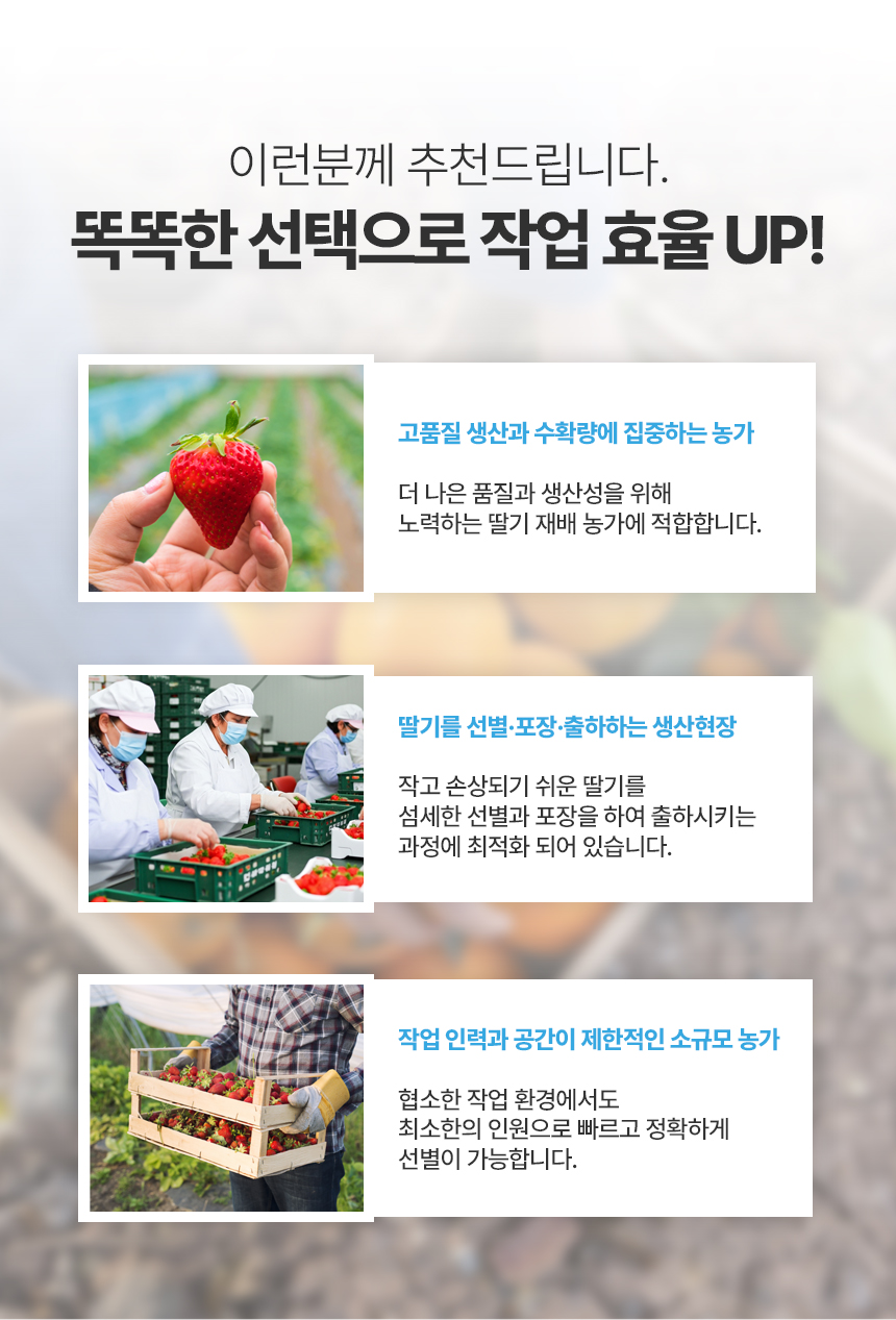 음성 안내 딸기 선별기 상세 이미지 11