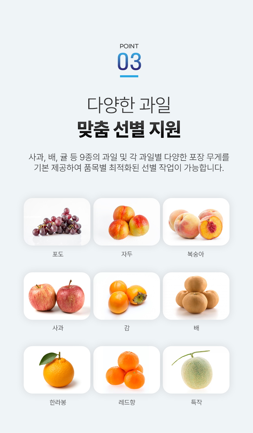 음성 안내 과일 선별기 상세 이미지 7